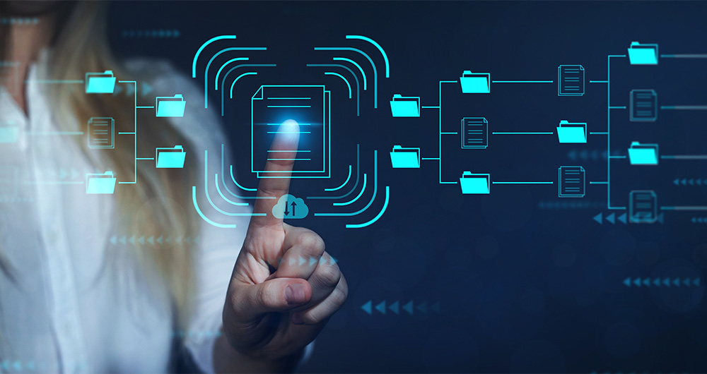 An Innovative Solution to Knowledge Management 